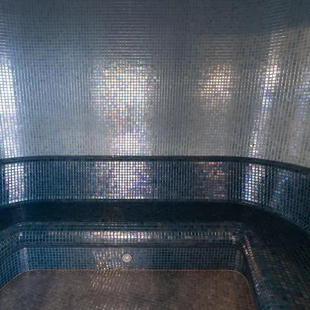 Stara Polana I - Vip 71 & Vip 84 * ザコパネ